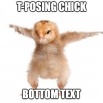 This chick assists democracy | T-POSING CHICK; BOTTOM TEXT | image tagged in strongest chicken,t pose,chicken,chick,bottom text | made w/ Imgflip meme maker