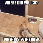 Where did everyone go? | WHERE DID YOU GO? WHERE IS EVERYONE? | image tagged in coach the doggo | made w/ Imgflip meme maker