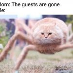When the guests are gone | Mom: The guests are gone
Me: | image tagged in spider cat | made w/ Imgflip meme maker