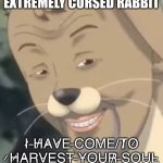 Extremely cursed rabbit | I̷ ̵H̸A̷V̷E̵ ̶C̵O̶M̵E̶ ̸T̸O̷ ̷H̷A̶R̴V̵E̵S̴T̴ ̵Y̶O̵U̴R̸ ̵S̶O̴U̵L̴ | image tagged in extremely cursed rabbit | made w/ Imgflip meme maker