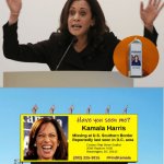 Kamala Harris Missing billboard