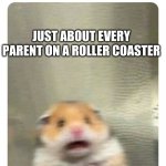 Am I right more than anything? XD | JUST ABOUT EVERY PARENT ON A ROLLER COASTER | image tagged in screaming hamster | made w/ Imgflip meme maker
