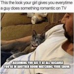 What look? | ...ASSUMING YOU SEE IT AT ALL, BECAUSE YOU'RE IN ANOTHER ROOM WATCHING YOUR SHOW. | image tagged in romantic look cat | made w/ Imgflip meme maker