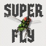 SUPERFLY Kartune 3