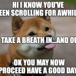 Good Doggo! | HI I KNOW YOU'VE BEEN SCROLLING FOR AWHILE; SO TAKE A BREATH IN...AND OUT; OK YOU MAY NOW PROCEED HAVE A GOOD DAY! | image tagged in cute doggo | made w/ Imgflip meme maker