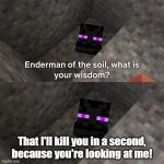 Enderman of the soil is gonna kill you | That I'll kill you in a second,
because you're looking at me! | image tagged in enderman of the soil,enderman,minecraft,angry,looking,memes | made w/ Imgflip meme maker