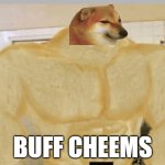 Buff Doge | BUFF CHEEMS | image tagged in buff doge,cheems,combination,memes,dogs,buff | made w/ Imgflip meme maker