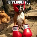 UPPERCUT---PUPPERCUT | DON'T MAKE ME PUPPER CUT YOU | image tagged in boxing dog | made w/ Imgflip meme maker
