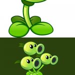 Peashooter | HERE'S MY TWIN BROTHERS | image tagged in peashooter | made w/ Imgflip meme maker