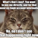 No, I don't think so. | What's that E-bay?  You want to pay me directly, and for that you need my bank account information?? No, no I don't see that happening right now. | image tagged in sarcasm cat | made w/ Imgflip meme maker