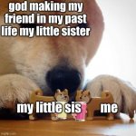 Now Kiss Doge | god making my friend in my past life my little sister; my little sis        me | image tagged in now kiss doge,past lfe,e | made w/ Imgflip meme maker