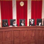dog supreme court