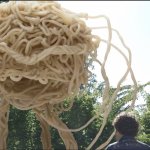 Noodle monster meme
