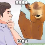 Mmmm... Camel | MMMM... CAMEL | image tagged in mmmm camel | made w/ Imgflip meme maker