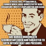 oil is not comprised of dinosaur bodies | A FOSSIL FUEL, PETROLEUM IS FORMED WHEN LARGE QUANTITIES OF DEAD ORGANISMS, MOSTLY ZOOPLANKTON AND ALGAE; ARE BURIED UNDERNEATH SEDIMENTARY ROCK AND SUBJECTED TO BOTH INTENSE HEAT AND PRESSURE. | image tagged in mug approval | made w/ Imgflip meme maker