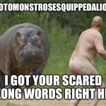 Phobia my Ass | HIPPOPOTOMONSTROSESQUIPPEDALIOPHOBIA; I GOT YOUR SCARED OF LONG WORDS RIGHT HERE. | image tagged in naked hippo | made w/ Imgflip meme maker