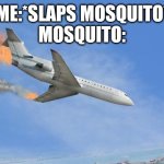 When you want to spare his life | ME:*SLAPS MOSQUITO*
MOSQUITO: | image tagged in crashing plane | made w/ Imgflip meme maker