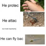 he protecc he attacc | He can fly bac | image tagged in he protecc he attacc | made w/ Imgflip meme maker
