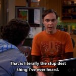 Stupidest thing I've ever heard Sheldon