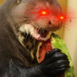 No touch | NOBODY TOUCHES MY MELON! | image tagged in memes,self loathing otter | made w/ Imgflip meme maker