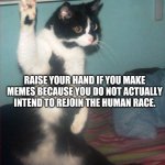 damaged beyond repair | RAISE YOUR HAND IF YOU MAKE MEMES BECAUSE YOU DO NOT ACTUALLY INTEND TO REJOIN THE HUMAN RACE. | image tagged in question cat | made w/ Imgflip meme maker
