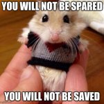 Hampster in sweater | YOU WILL NOT BE SPARED; YOU WILL NOT BE SAVED | image tagged in hampster in sweater,fnaf | made w/ Imgflip meme maker
