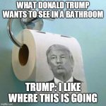 Trump Toilet Paper | WHAT DONALD TRUMP WANTS TO SEE IN A BATHROOM; TRUMP: I LIKE WHERE THIS IS GOING | image tagged in trump toilet paper | made w/ Imgflip meme maker
