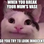 Oh no | WHEN YOU BREAK YOUR MUM'S VASE; SO YOU TRY TO LOOK INNOCENT | image tagged in awkward smile cat | made w/ Imgflip meme maker