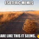 Tumbleweed | ESOTERIC MEMES; ARE LIKE THIS IT SEEMS..👆 | image tagged in tumbleweed,esoteric memes,arcane,dopey basards,hanx wankz | made w/ Imgflip meme maker