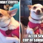 Before and after Sunday Coffee | BEFORE SUNDAY COFFEE; AFTER SEVENTH CUP OF SUNDAY COFFEE | image tagged in sunday coffee,coffee,chihuahua | made w/ Imgflip meme maker