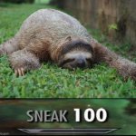 Sloth sneak 100