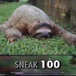 Sloth sneak 100 jpeg degrade