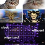 Sleek Efficient Organized Perfection | image tagged in sleek efficient organized perfection,animals,funny,cats,memes,gifs | made w/ Imgflip meme maker