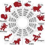 the Chinese Zodiac