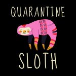 Quarantine sloth