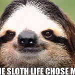 The sloth life chose me