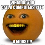 AO joke | WHAT DO YOU CALL A COMPUTERS PET? A MOUSE!!! | image tagged in annoying orange | made w/ Imgflip meme maker