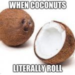 how coconut malling worked before youtube | WHEN COCONUTS; LITERALLY ROLL | image tagged in you just got coconut malled | made w/ Imgflip meme maker