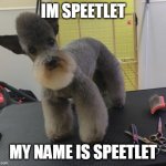 sp | IM SPEETLET; MY NAME IS SPEETLET | image tagged in speetlet | made w/ Imgflip meme maker