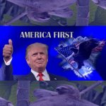 America First sloths 1