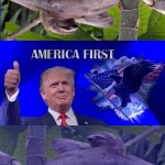 America First sloths 2