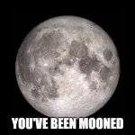 Mooned | YOU'VE BEEN MOONED | image tagged in no color moon,mooned,look | made w/ Imgflip meme maker