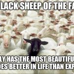 Black Sheep of The Family | THE BLACK SHEEP OF THE FAMILY; USUALLY HAS THE MOST BEAUTIFUL SOUL AND DOES BETTER IN LIFE THAN EXPECTED | image tagged in black sheep of the family,memes | made w/ Imgflip meme maker