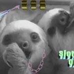 sloth gang or die gif GIF Template
