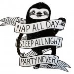 Sloth nap all day sleep all night party never meme