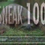 Sloth sneak 100 redux jpeg degrade