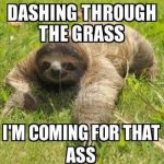 Sloth dashing through the grass