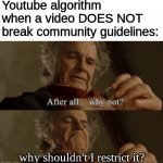 Youtube, where an AI is dumber than a human | Youtube algorithm when a video DOES NOT break community guidelines:; why shouldn't I restrict it? | image tagged in after all why not,scumbag youtube | made w/ Imgflip meme maker