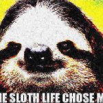 The sloth life chose me deep-fried 1