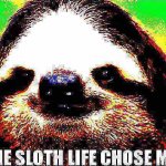 The sloth life chose me deep-fried 2